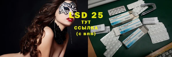 spice Аркадак