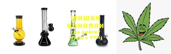 spice Аркадак