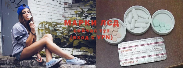 spice Аркадак